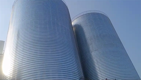 怀远2座混凝土高架卷板仓